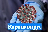 Коронавирус: официальная информация