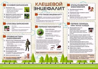 Где можно исследовать клещей Где можно исследовать клещей